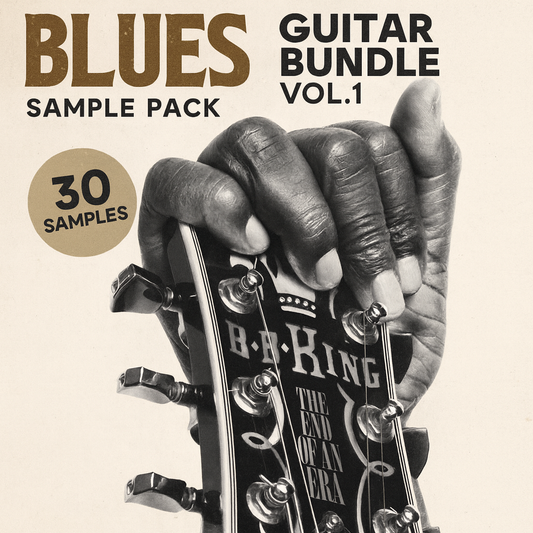 Blues Guitar Bundle Vol.1