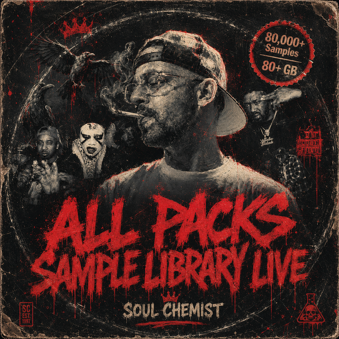 SOUL CHEMIST – ALL PACKS SAMPLE LIBRARY LIVE - Sample Packs by Soul Chemist